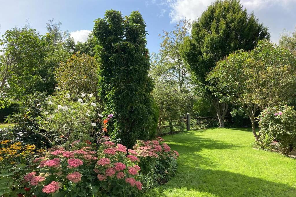 Mews With Garden Views Apartment คาร์โลว์ ภายนอก รูปภาพ