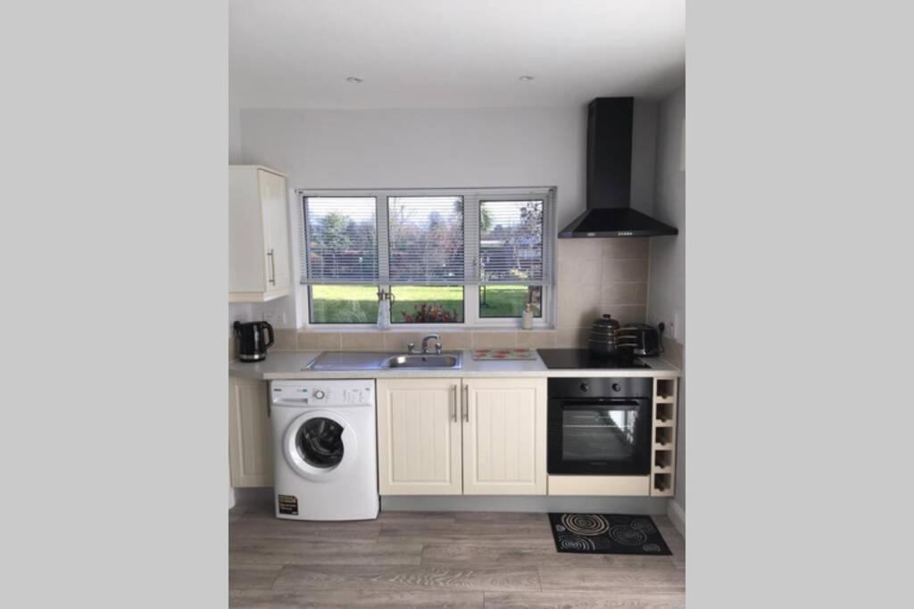 Mews With Garden Views Apartment คาร์โลว์ ภายนอก รูปภาพ