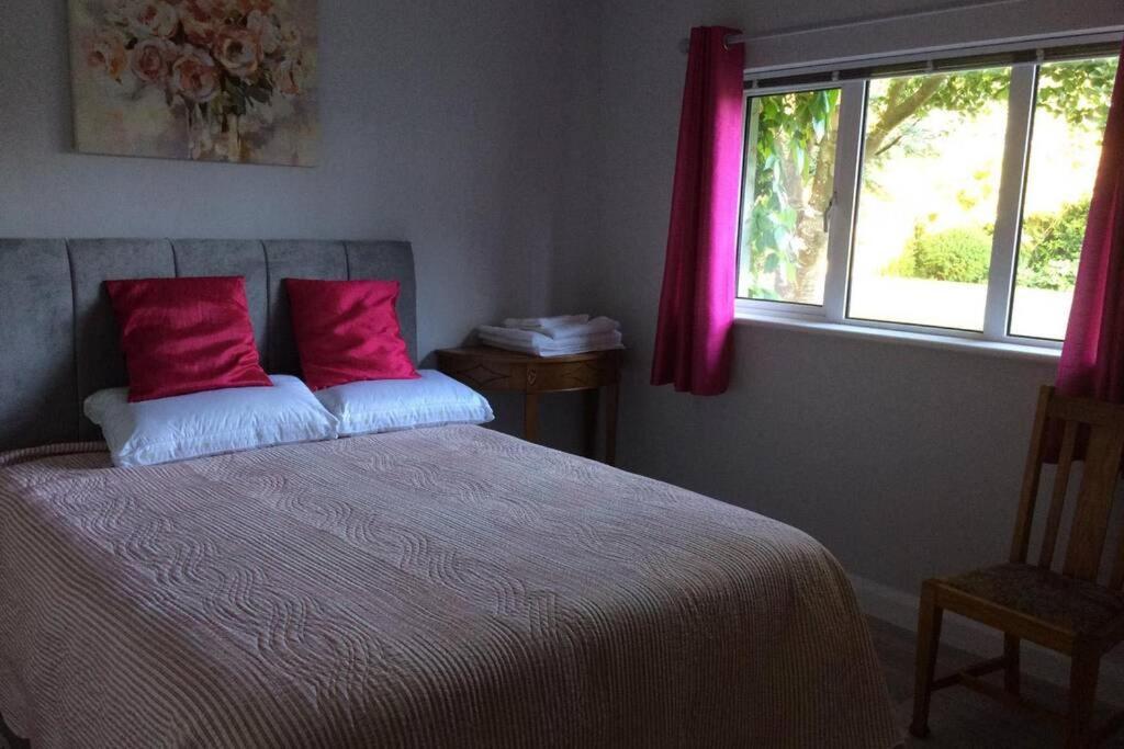 Mews With Garden Views Apartment คาร์โลว์ ภายนอก รูปภาพ